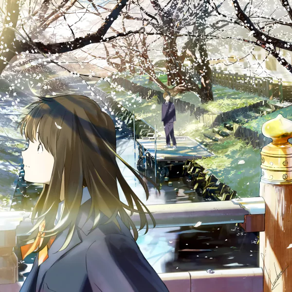 纯爱番剧《月色真美》感想